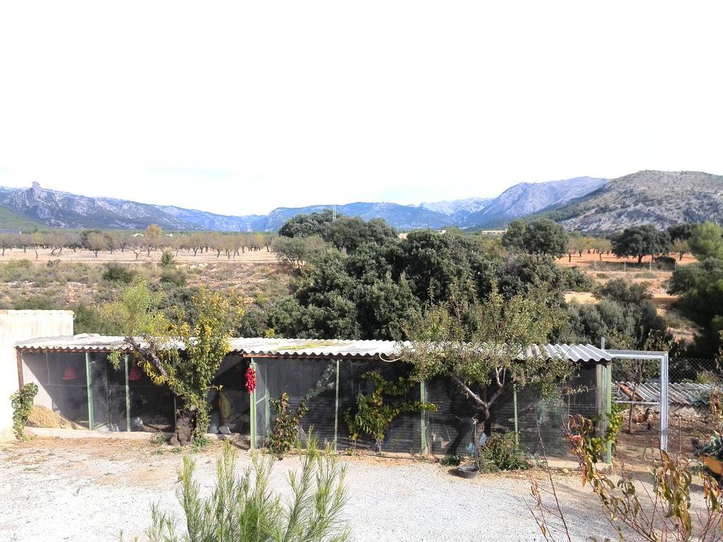 Pozo Alcón Cabanas Cortijo El Helao المظهر الخارجي الصورة