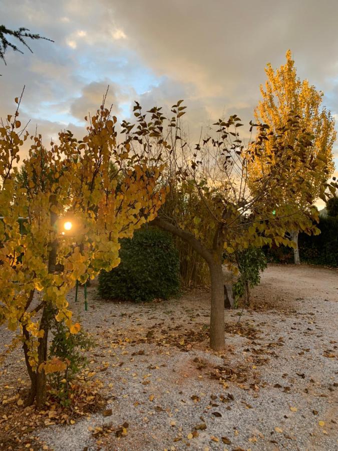 Pozo Alcón Cabanas Cortijo El Helao المظهر الخارجي الصورة